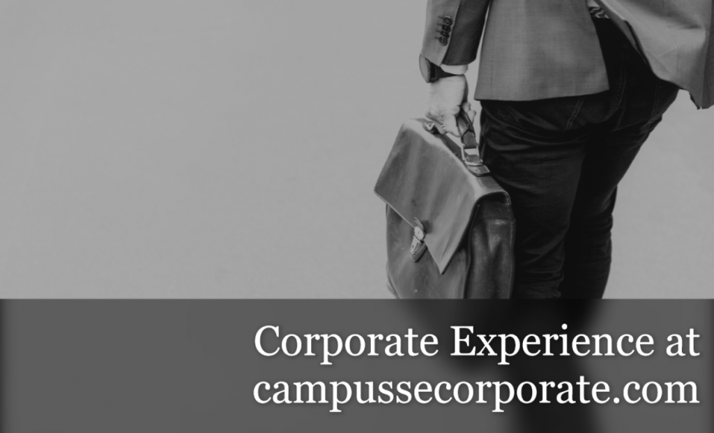 Corporate Experience as Consultant at PwC